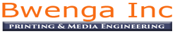 Bwenga Inc logo